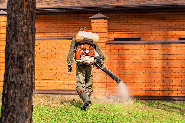Top rated local Ant Control specialists in Bad Axe, MI